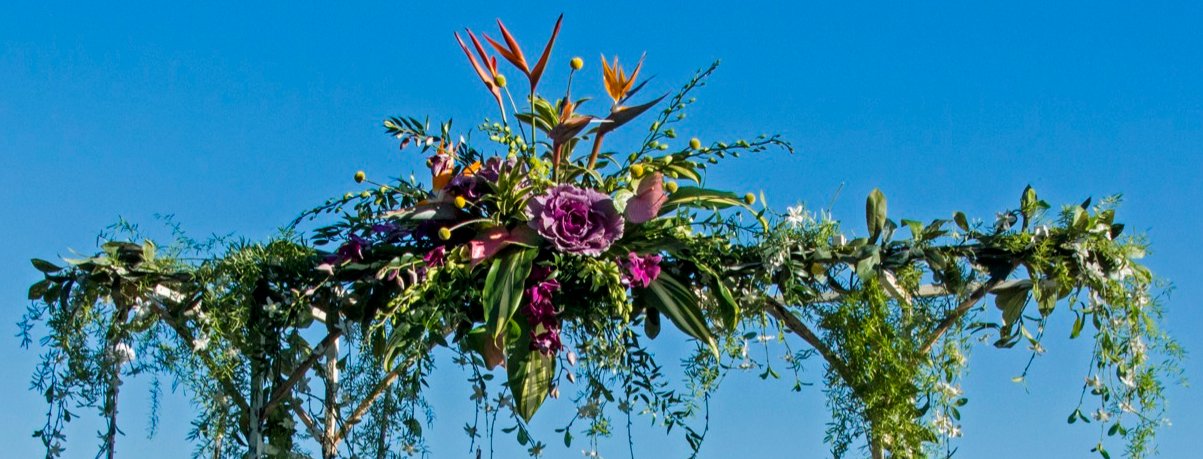 Janine and Mark, November 9, 2013